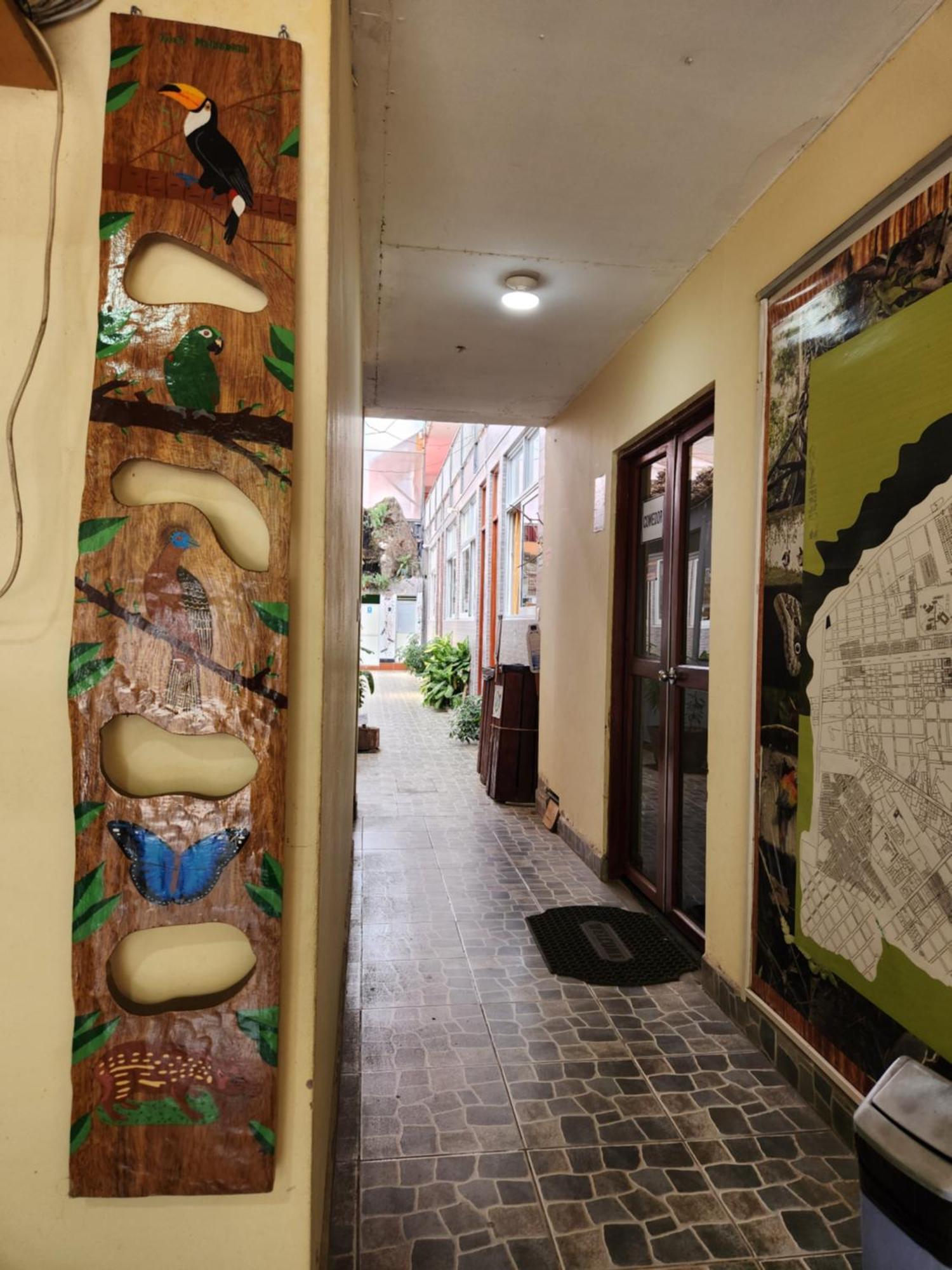 פוארטו מלדונדו Libelula Hotel מראה חיצוני תמונה